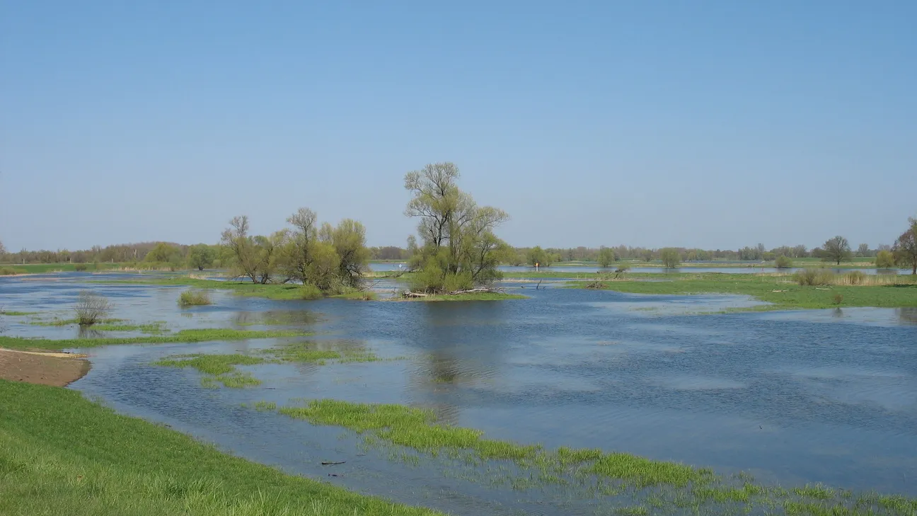 Rubrik_Naturschutz-Biodiversitaet_FlorianSchoene.JPG